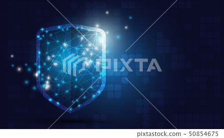 Online data protection shield Online data protection shield 50854675