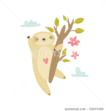 Cute funny sloth hanging on the tree in rainforest Cute funny sloth hanging on the tree in rainforest 50855490