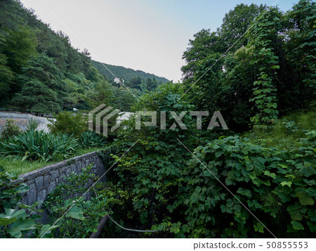 Old abandoned green park in front of the mountain Old abandoned green park in front of the mountain 50855553
