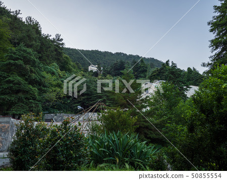 Old abandoned green park in front of the mountain 50855554