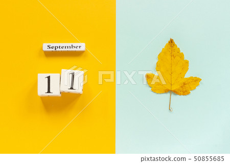 Autumn composition. Wooden calendar September 11 Autumn composition. Wooden calendar September 11 50855685