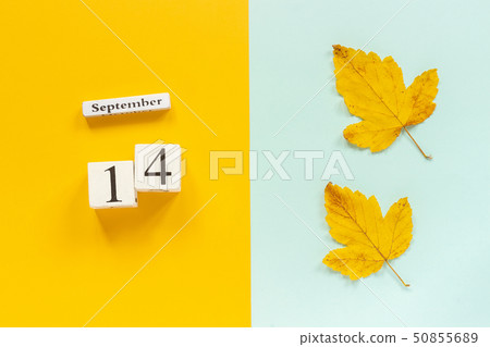 Autumn composition. Wooden calendar September 14 50855689