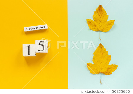 Autumn composition. Wooden calendar September 15 Autumn composition. Wooden calendar September 15 50855690
