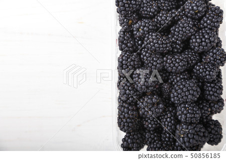 blackberry on white background blackberry on white background 50856185