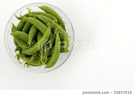 豌豆 50857618