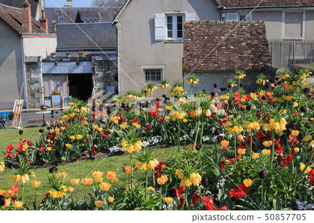 Amboise cityscape 50857705