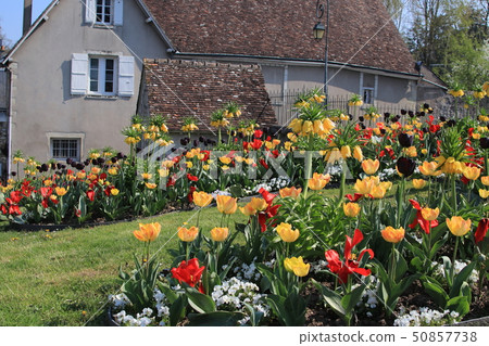 Amboise urban area 50857738
