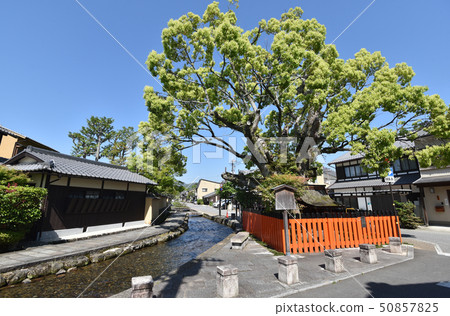 Kamigamo Shiyadori Akejingawa and Fujikisha Kamigamo Shiyadori Akejingawa and Fujikisha 50857825