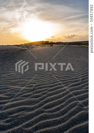 Nakatajima Sand Dune Hamamatsu City Shizuoka Prefecture Nakatajima Sand Dune Hamamatsu City Shizuoka Prefecture 50857892