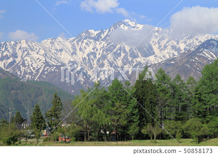 五月白馬村 五月白馬村 50858173