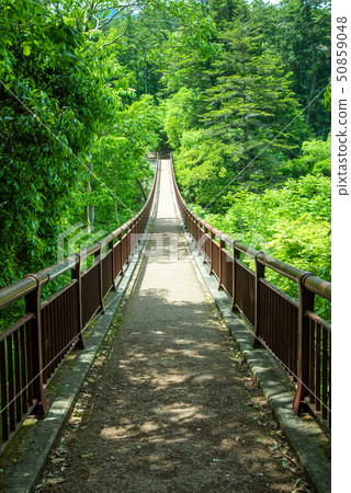 Akikawa Valley新鮮的綠色石垣橋 Akikawa Valley新鮮的綠色石垣橋 50859048