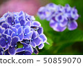 Hydrating blue gradient that blooms moistly 50859070