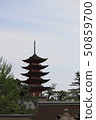 Miyajima Fives 50859700
