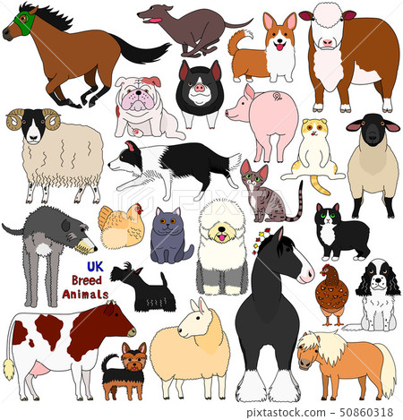 Set of pets and livestock Set of pets and livestock 50860318