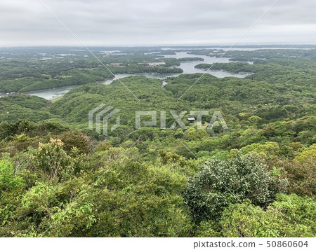 三重觀景台 50860604