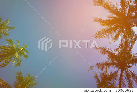Coconut palm tree beach summer concept Coconut palm tree beach summer concept 50860685