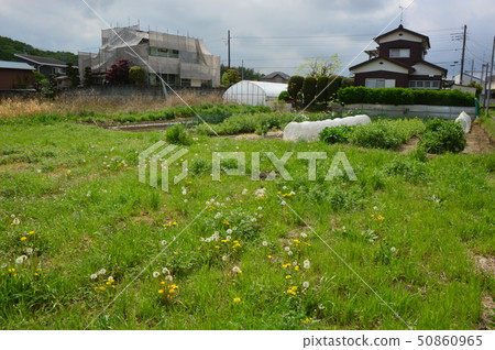 The countryside of Tama 50860965