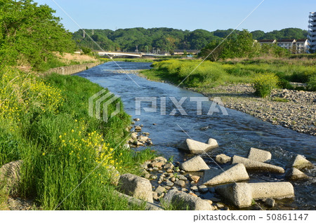 Asakawa's spring is Hachioji 50861147