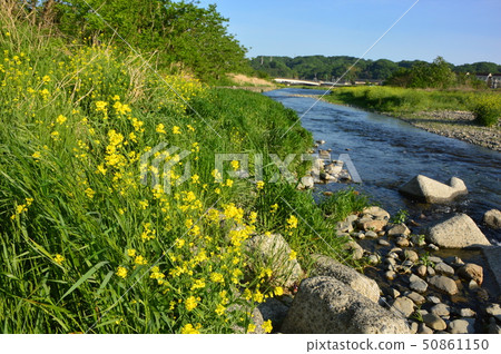 Asakawa's spring is Hachioji 50861150