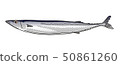 秋刀魚 50861260