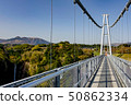 Kuju Yumeuma Suspension bridge of fresh green 50862334