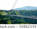 Kuju Yumeuma Suspension bridge of fresh green 50862339
