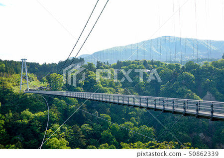 Kuju Yumeuma新鮮的綠色吊橋 50862339