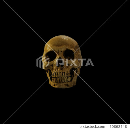 skull in the dark 50862548
