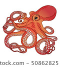 章魚 50862825
