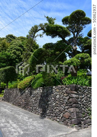 初夏的Iriki武士住所 50862937