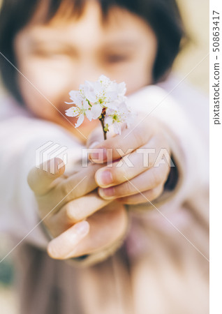 櫻桃春姑娘 50863417