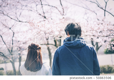 Cherry blossom spring couple couple 50863506