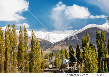 Autumn landscape in Leh Ladakh Region, India 50863580
