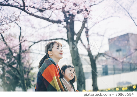 櫻花春天父母和孩子 櫻花春天父母和孩子 50863594
