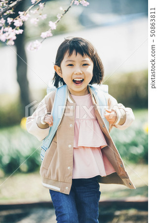 Cherry blossom spring 50863811