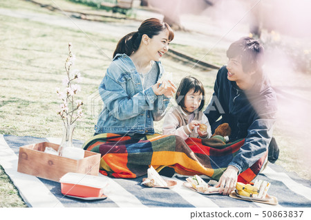 Cherry blossom spring parent and child 50863837