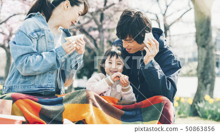 Cherry blossom spring parent and child 50863856