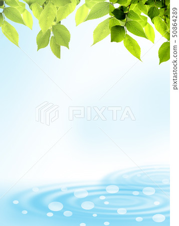 Fresh green Wakaba Water surface Ripples Water Wave Light 50864289