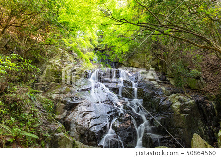 Senjuin Waterfall_Fukuoka Prefecture Itoshima-shi Nijomankichi: Village of Heike-o-machi-to-Taruhara Senjuin Waterfall_Fukuoka Prefecture Itoshima-shi Nijomankichi: Village of Heike-o-machi-to-Taruhara 50864560