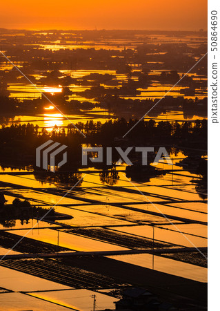 "Toyama Prefecture" A superb view of Toyama, a sunset view reflected in a vast paddy field 50864690