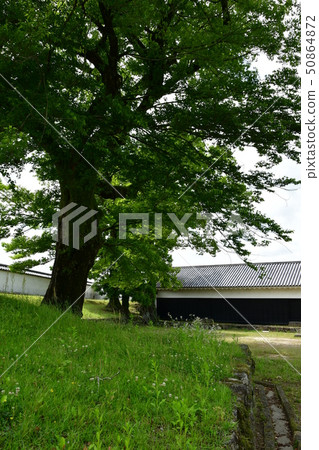 Hitoyoshijo城堡Sagamikuni神社 Hitoyoshijo城堡Sagamikuni神社 50864872
