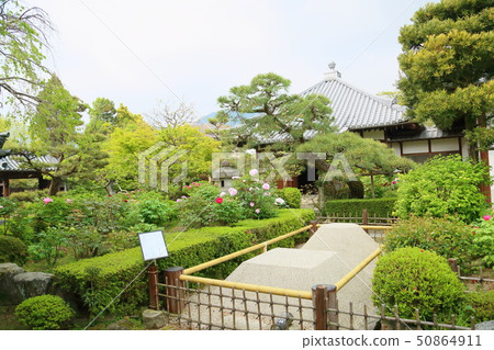 白沙園 白沙園 50864911