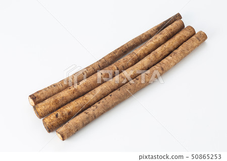 牛蒡根 50865253