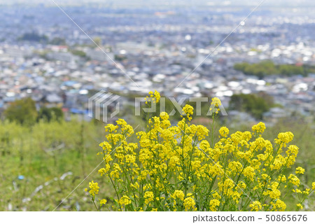 Nagano city distant view 50865676