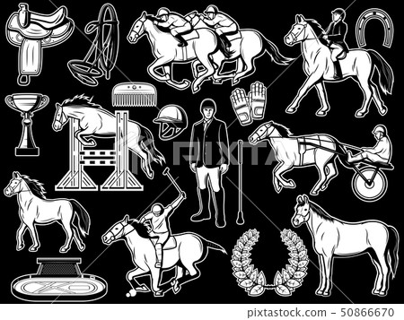 horse riding items