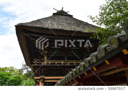 Aoi Aso Shrine thatched roof National Treasure 50867017