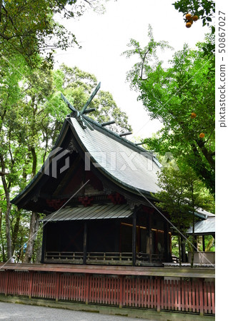 Aoi阿蘇神社茅草屋頂國寶 Aoi阿蘇神社茅草屋頂國寶 50867027