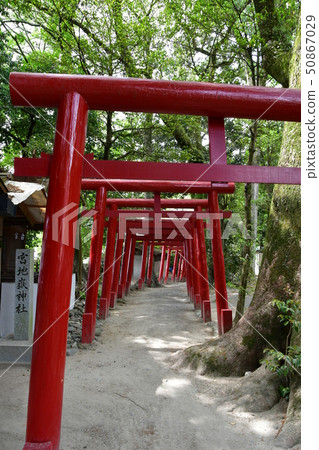 Aoi阿蘇神社茅草屋頂國寶 50867029
