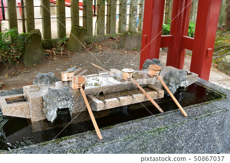 Aoi阿蘇神社茅草屋頂國寶 Aoi阿蘇神社茅草屋頂國寶 50867037