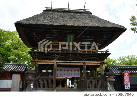 Aoi阿蘇神社茅草屋頂國寶 Aoi阿蘇神社茅草屋頂國寶 50867040